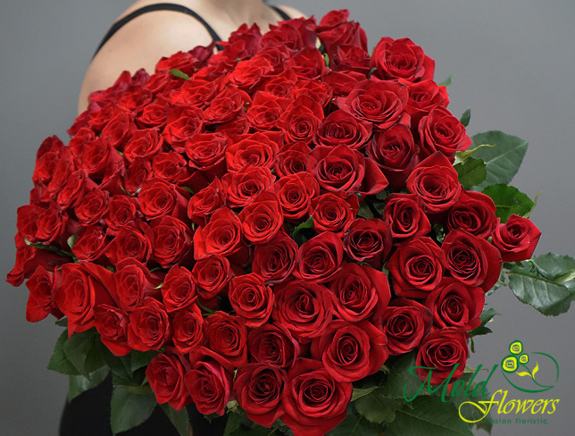 101 Trandafiri roșii olandezi 60-70 cm foto
